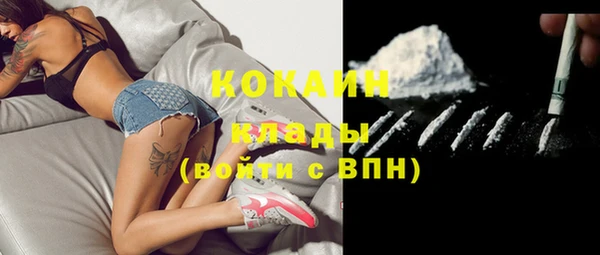 прущие крисы Алзамай
