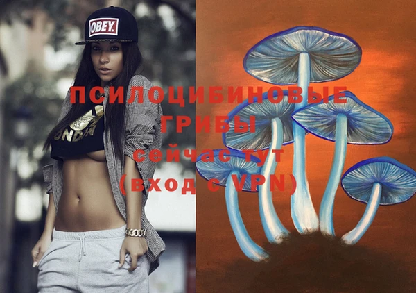 MDMA Premium VHQ Алексеевка